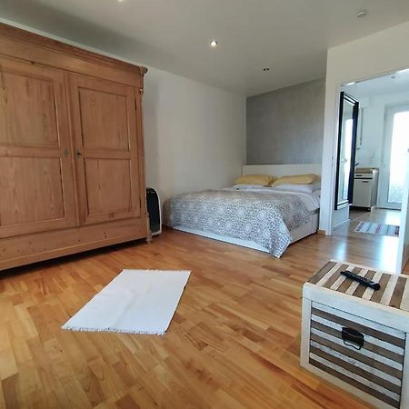 Gl Single Town Apartment Wiesbaden Buitenkant foto